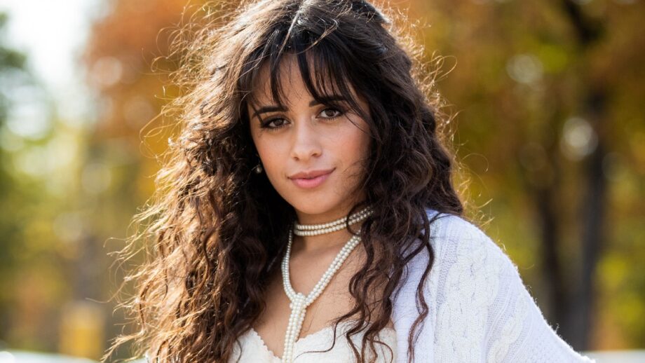 Camila Cabello's Soothing Lyrics Songs For Every Heart Broken Soul 720602