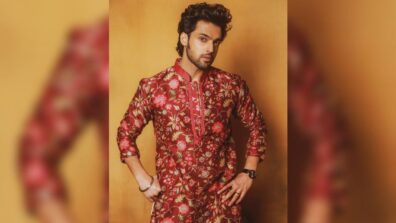 “Choti Diwali, Badaa Dhamaka”, Parth Samthaan makes big announcement