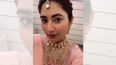 Bade Acche Lagte Hain: Disha Parmar shares gorgeous pink saree avatar with heavy jewellery, fans love it