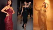 Disha Patani, Nora Fatehi, and Malaika Arora: Show-Stealer Actresses In Body-Hugging Gowns