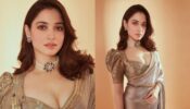Tamannaah Bhatia slams marriage rumours in savage style, check out