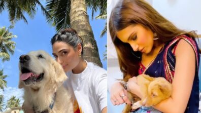 Doggo Love: Athiya Shetty and Tara Sutaria get cuddly with their paw buddies