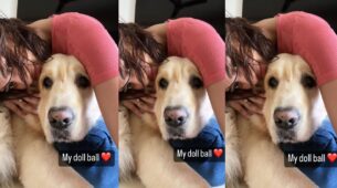 Erica Fernandes shares adorable pictures with her pawbuddy, see pics