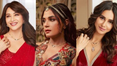 Fashion Battle: Shibani Dandekar, Madhuri Dixit Or Richa Chadha; B-town Wives Flaunting Bulgari Mangalsutra This Karva Chauth