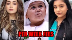 From Sumbul Touqeer to Tina Datta: Check per week fees of Bigg Boss 16 contestants