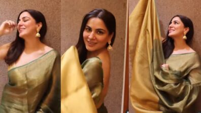 Gorgeous diva: Shraddha Arya plays with her traditional saree pallu, fans in love