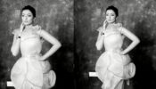 Hansika Motwani dolls up in flared ruffled mini dress for photoshoot, video viral