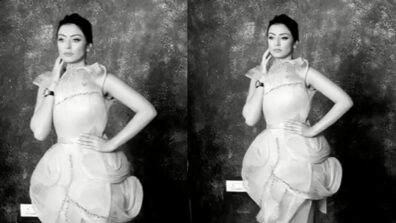 Hansika Motwani dolls up in flared ruffled mini dress for photoshoot, video viral