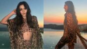 Hansika Motwani is holidaying in Mikonos island in Greece, looks droolworthy in leopard-printed monokini with cape