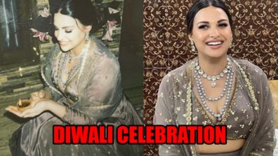 Himanshi Khurana Shares Diwali Celebration Photos, Looks Stunning In Deep Neck Grey Lehenga