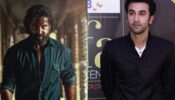 Hrithik Roshan To Aditya Roy Kapur: Macho Men Of Bollywood