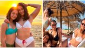 Ileana Dcruz takes over internet by storm in latest bikini snap, see sizzling pic