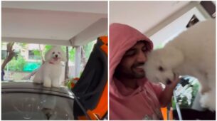 Kartik Aaryan’s Fun-loving moments With His Pet Katori Aaryan Impresses Us