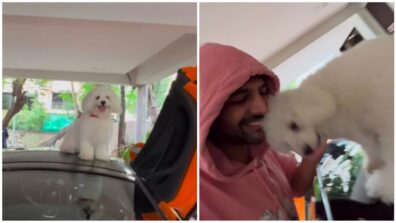 Kartik Aaryan’s Fun-loving moments With His Pet Katori Aaryan Impresses Us