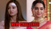 Kumkum Bhagya: New challenge between Rhea and Prachi