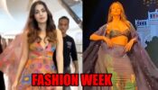 Malaika Arora or Rhea Chakraborty: Which Glam Outfit Would You Prefer From The Lakme Fashion Week 2022?