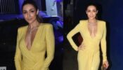 Malaika Arora Set The Temperature Soaring With Her Plunging Dress.
