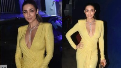 Malaika Arora Set The Temperature Soaring With Her Plunging Dress.