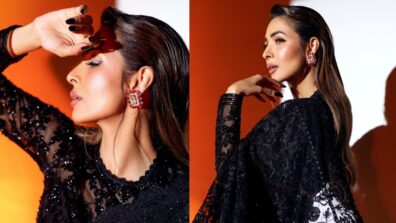 Malaika Arora Sizzles The Embroidered Black Saree Flaunting Her Look Perfectly