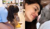 Only Cuddles: Rashmika Mandanna and Disha Patani enjoy ‘pawtime’