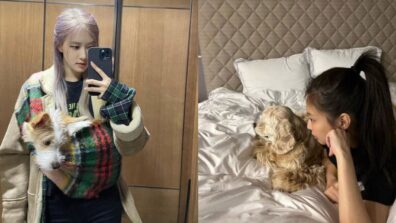 Pet Lover: Check Out All Favorite Pets Of Blackpink Girls