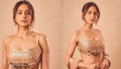 Rakul Preet Singh Aced The Pink Manish Malhotra Designed Lehenga Giving Glamorous Looks
