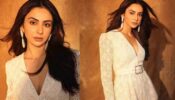 Rakul Preet Singh Raises Glam Quotient High In A White Embroidered Outfit