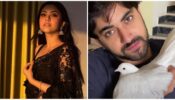 Reem Sameer Sheikh raises mercury levels in lace black saree, Zain Imam says ‘need to be wrapped around your arms”