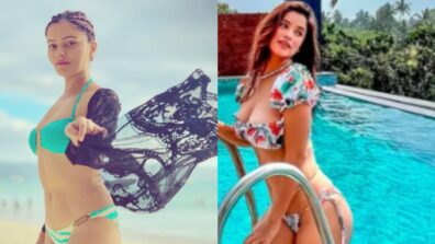 Rubina Dilaik, Chetna Pande, And Others’ Sweating Bikini Looks