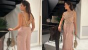 Shahid Kapoor’s Wife, Mira Rajput, Looks Fiery Hot In Pink Embellished Outfit