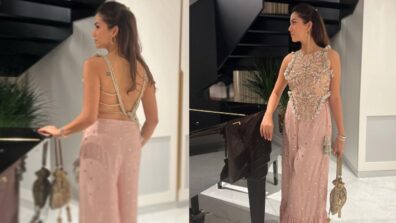 Shahid Kapoor’s Wife, Mira Rajput, Looks Fiery Hot In Pink Embellished Outfit