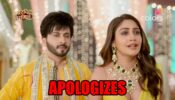 Sherdil Shergill: Manmeet apologizes to Raj