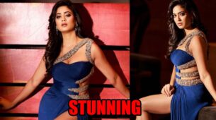 Hot Pictures: Shweta Tiwari flaunts her hot curves in a thigh-high slit dress, fans can’t stop drooling