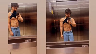 Tiger Shroff Plays With His Stomach and Flaunts His Abs Giving Us Hottest Looks