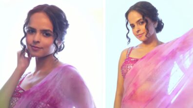 TMKOC diva Palak Sindhwani is a sight to behold in pink see-through, transparent saree, check out