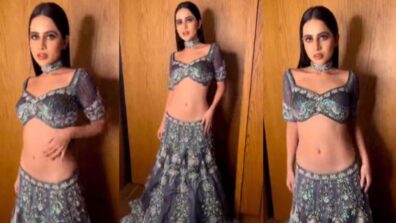 Urfi Javed Looks Ethereal In Embellished Lehenga With Choker Neckpiece