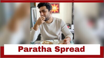 Vicky Kaushal Exhibits His Lavish Paratha Spread For Breakfast; Check Pics