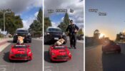 Viral Video: Dog Driving A Toy Car And Cops Stopping Him; Watch