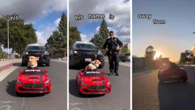 Viral Video: Dog Driving A Toy Car And Cops Stopping Him; Watch