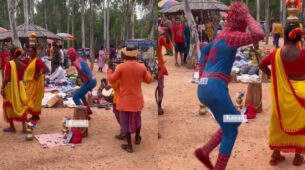 Viral Video: Man Dressed As Spiderman Dancing Goes Viral On The Internet, Watch