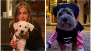 Watch: Jennifer Aniston getting Halloween ready is the cutest thing you will witness on internet today