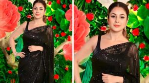 Watch: Shehnaaz Gill takes over internet by storm in shimmery see-through saree at Diwali party, check out