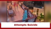 Yeh Hai Chahatein: OMG!! Preesha attempts suicide