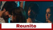 Yeh Hai Chahatein: Rudraksh and Preesha reunite