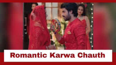 Yeh Hai Chahatein: Rudraksh and Preesha to have a romantic Karwa Chauth