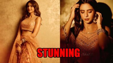 Aamna Sharif flaunts ethnic elegance with perfection in lehenga, check out