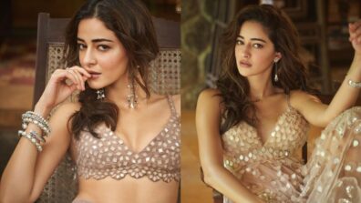 Ananya Panday is here to make you sweat with her sensuality, are you ready?