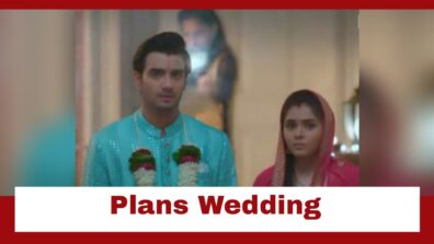 Anupamaa: Anuj plans a lavish wedding for Pakhi and Adhik