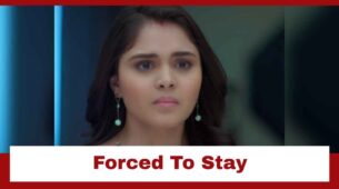 Anupamaa: Pakhi forced to stay with the Shahs