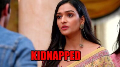 Bhagya Lakshmi: Lakshmi gets kidnapped